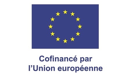 FR Cofinancé par l’Union européenne_POS_2 - Moyenne